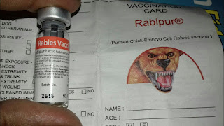 rabies vaccine human ip